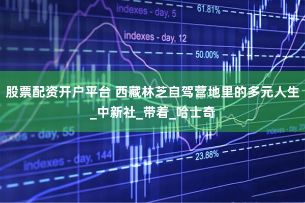 股票配资开户平台 西藏林芝自驾营地里的多元人生_中新社_带着_哈士奇