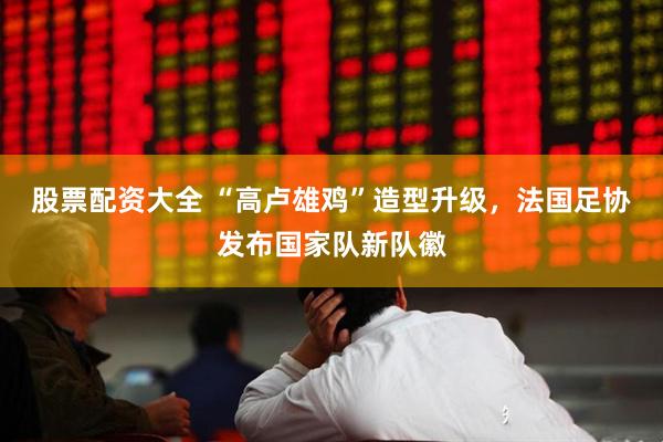股票配资大全 “高卢雄鸡”造型升级,法国足协发布国家队新队徽